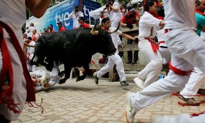 Pamplona Bull Run