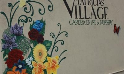 Patricia's Village and Garden Centre