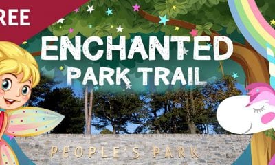 Enchanted Park Trail Portadown