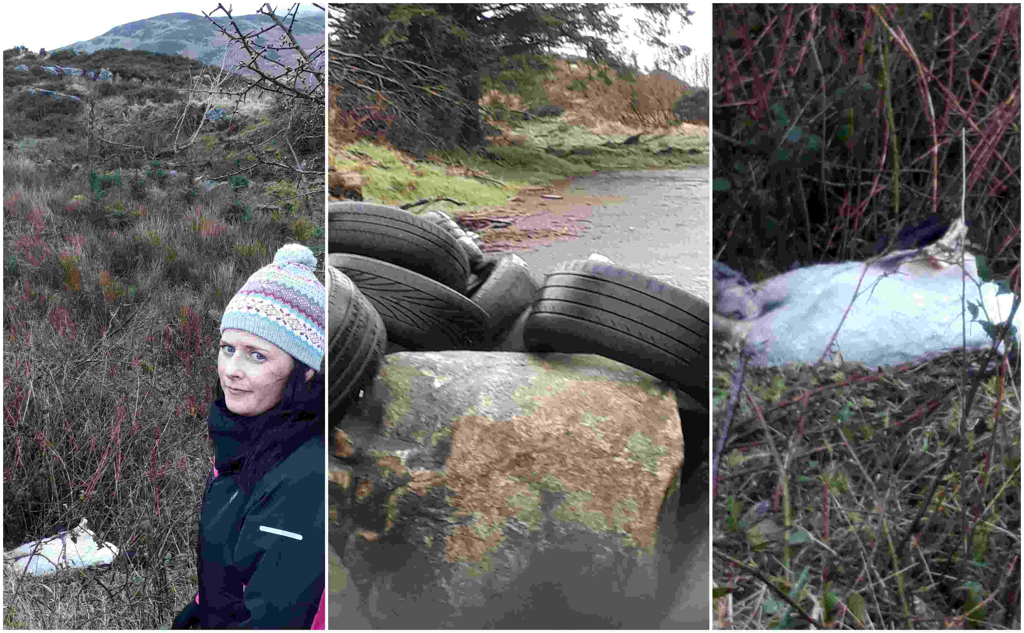 Oonagh Magennis on fly-tipping