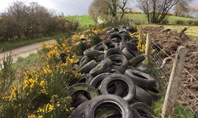 Clea tyre dumping