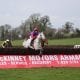 Farmacaffley point to point