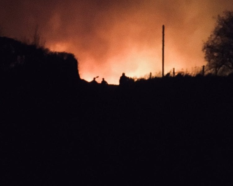 Gorse Fire Omagh
