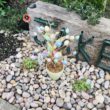 Councillor Julie Flaherty's garden tribute to son Jake