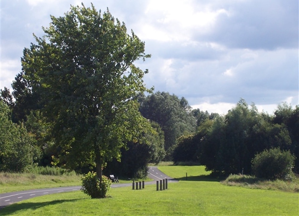 Craigavon City Park