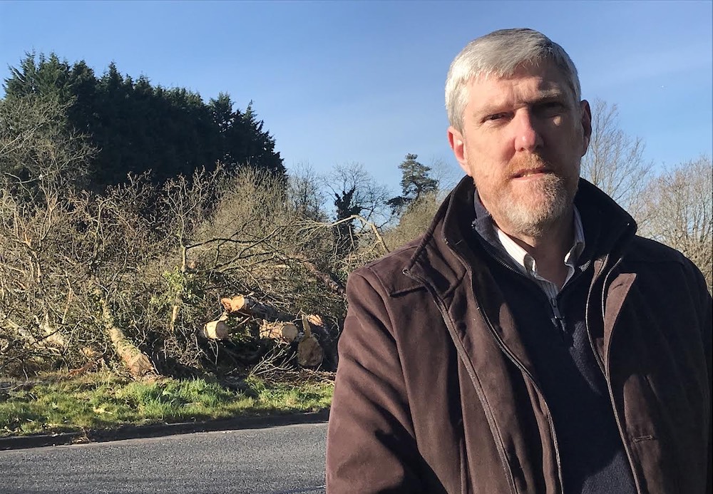 John O'Dowd tree felling Lake Road Craigavon