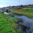 The oil spill clearly visible on Newry Canal. Photo: Lisdrumgullion News