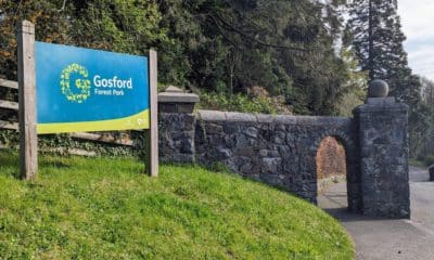 Gosford Forest Park entrance