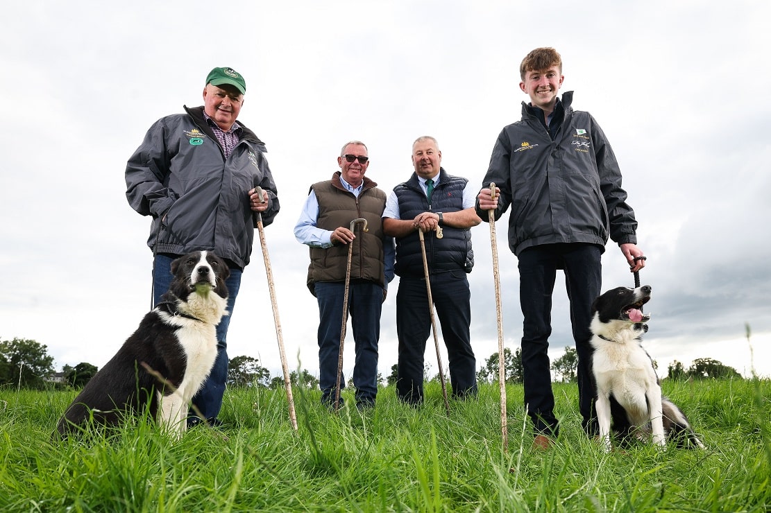 World Sheepdog Trials make historic debut in Dromore Armagh I